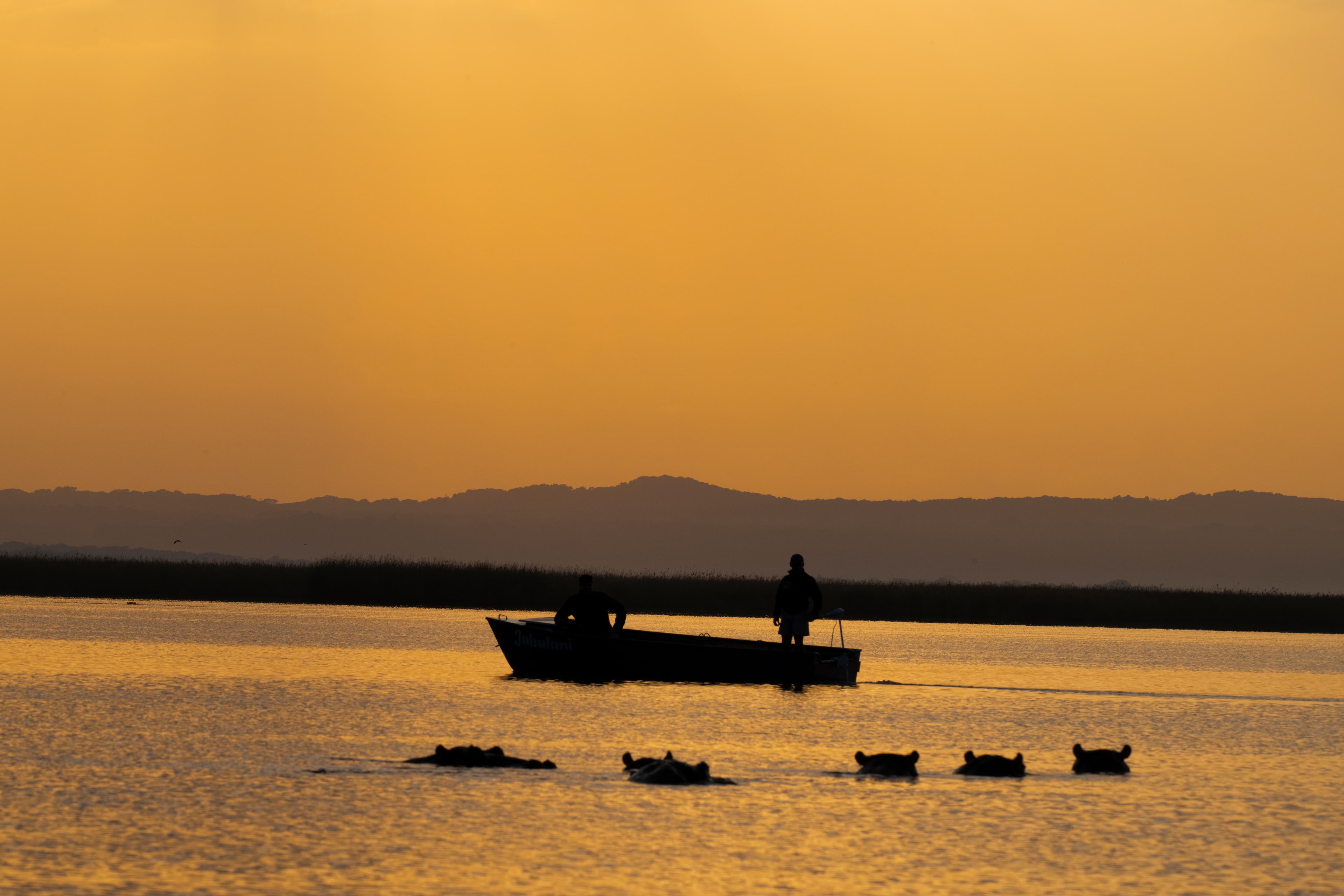 sunset from boat with hippos in water